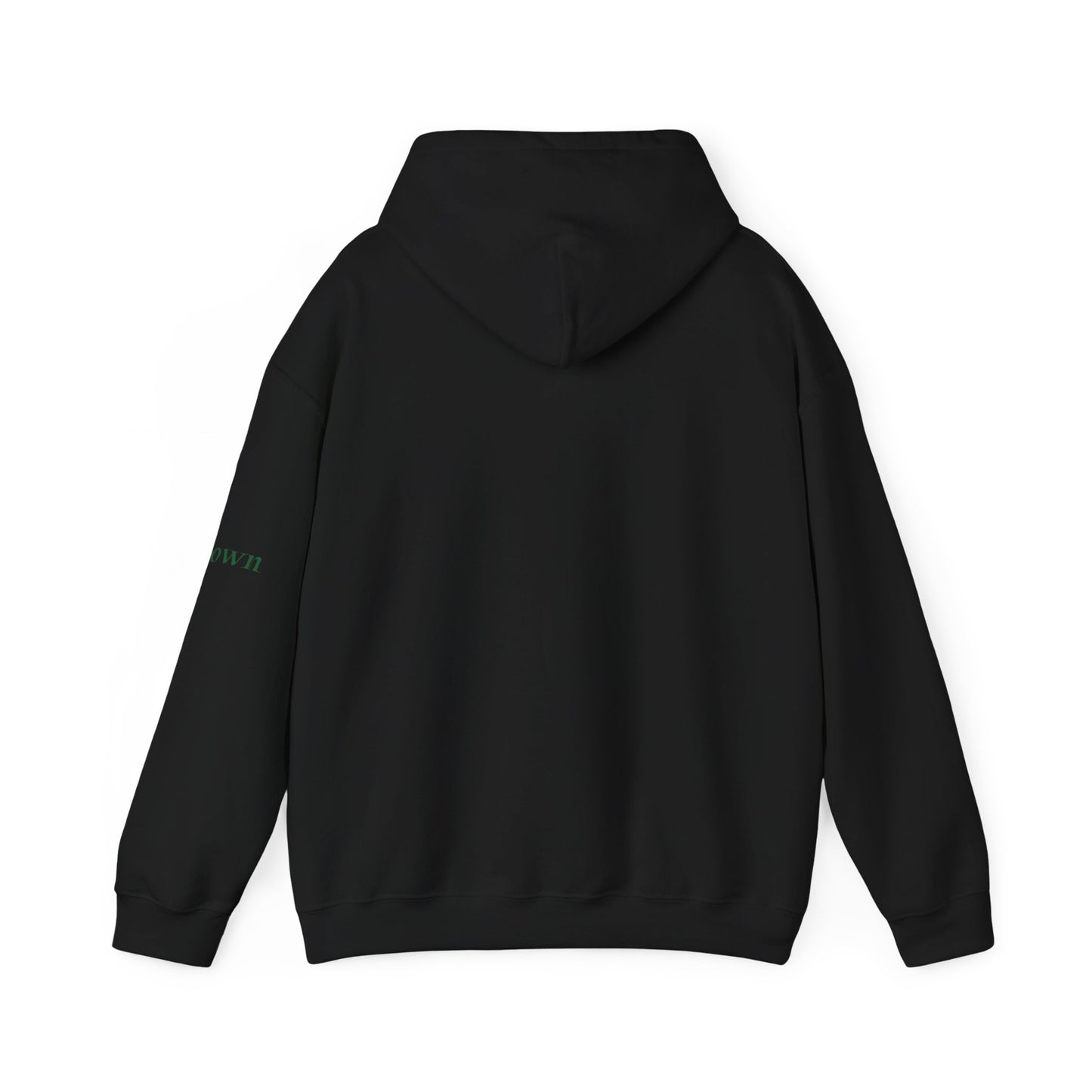Éire Celtic Hoodie — Irish Heritage Script Pullover, Personalize