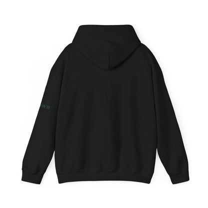 Éire Celtic Hoodie — Irish Heritage Script Pullover, Personalize