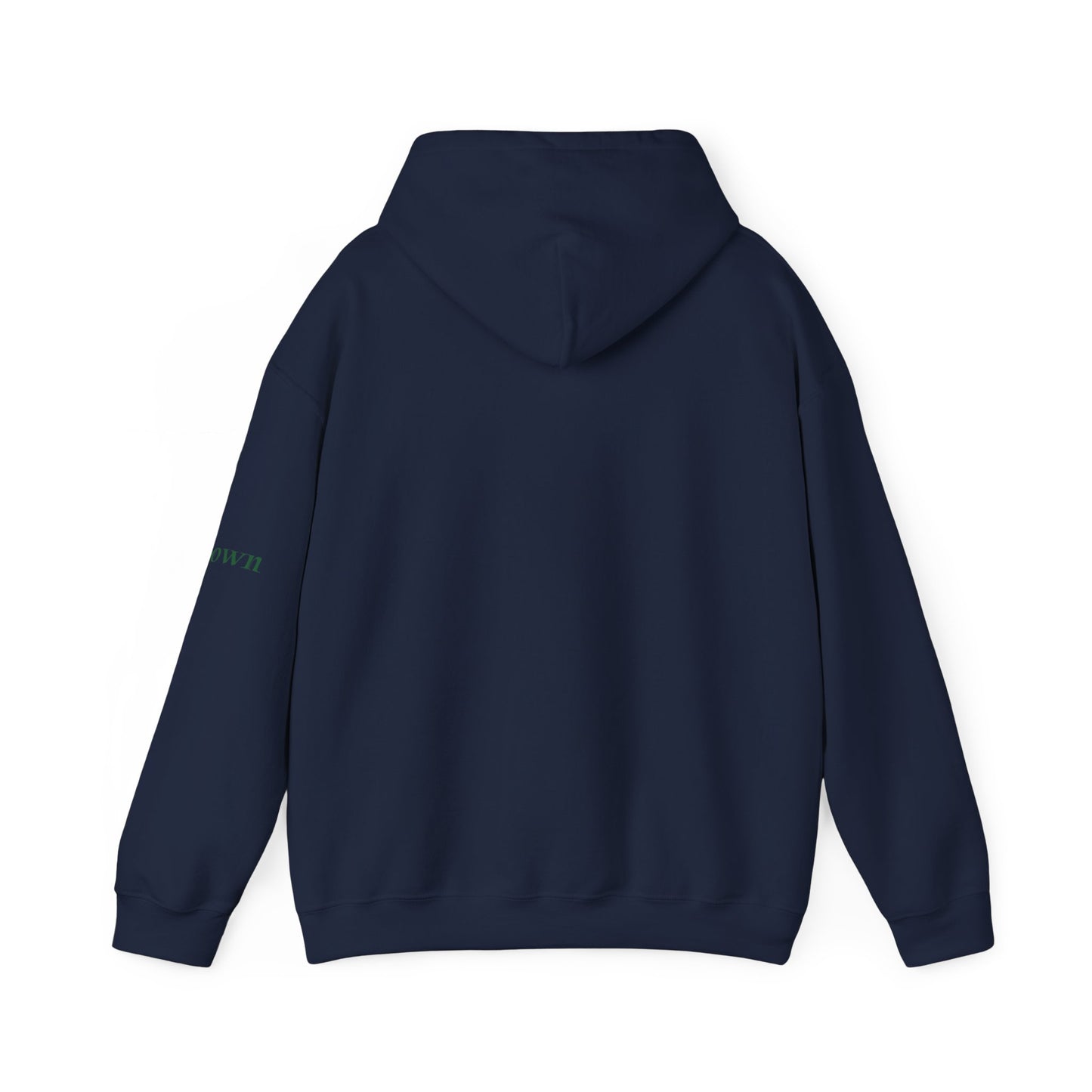Éire Celtic Hoodie — Irish Heritage Script Pullover, Personalize