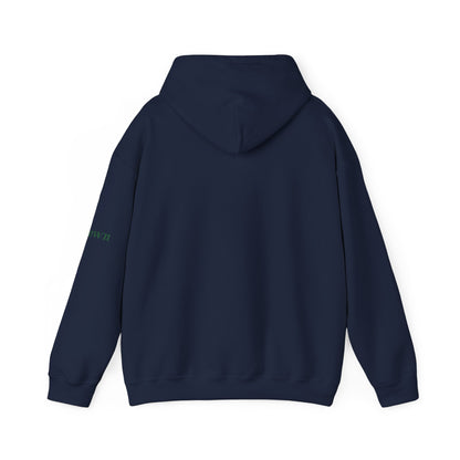Éire Celtic Hoodie — Irish Heritage Script Pullover, Personalize